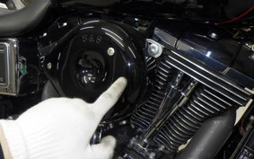 HARLEY FXDL 1580 2016