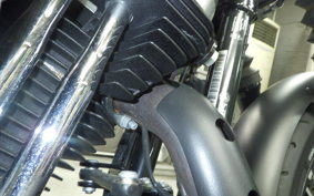 HARLEY XL883N 2017