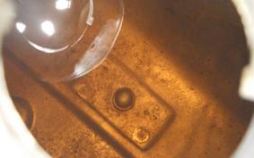 SUZUKI RG250 Gamma 2026 GJ21B