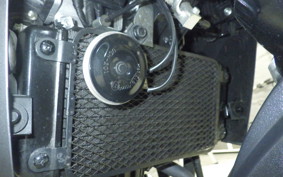 SUZUKI V-STROM 250 A