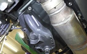 KAWASAKI Z800 2021