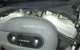 HARLEY XL1200N 2010