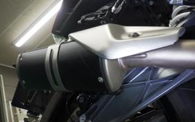 KTM 390 DUKE 2024