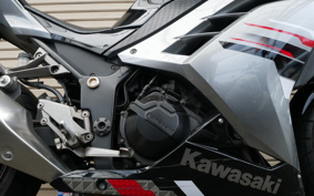KAWASAKI NINJA 250 ABS SE EX250L