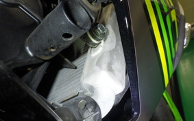KAWASAKI NINJA 250 2 2019 EX250P