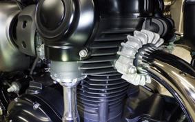 KAWASAKI W800 STREET 2020 EJ800B