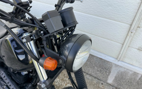 YAMAHA TW225 DG09J
