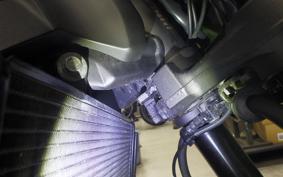 KAWASAKI Z900RS CAFE 2019 ZR900C