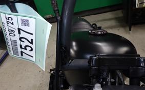 HARLEY XL883N 2014