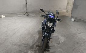 YAMAHA MT-25 RG43J