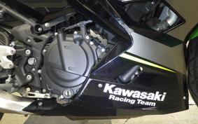 KAWASAKI NINJA 250 2 2019 EX250P