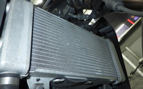 HONDA CB250RA 2023 MC52