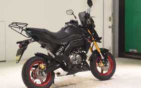 KAWASAKI Z125 PRO 2000 BR125H