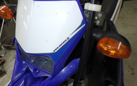 YAMAHA WR250X 2007 DG15J