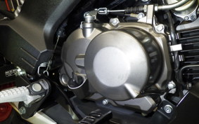 KAWASAKI Z125 PRO 2000 BR125H