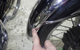 KAWASAKI W800 2020 EJ800B