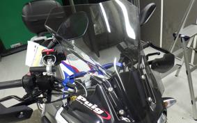 BMW G310GS
