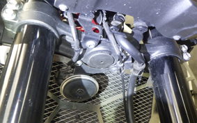 KAWASAKI Z900 2023 ZR900B
