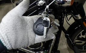 HARLEY FLSB 1750 2025