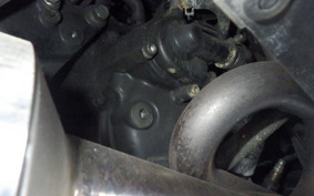YAMAHA MAXAM 250 SG21J