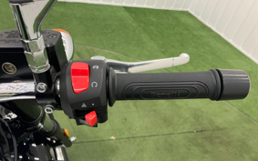 BENELLI IN PE REAR -RE400 2022 P09