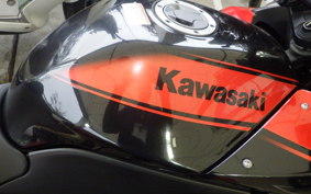 KAWASAKI NINJA 250R EX250K