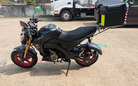 KAWASAKI Z125 PRO BR125H