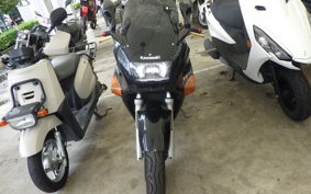 KAWASAKI ZZ-R250 EX250H
