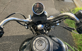 HARLEY FXDI 2006 GM1