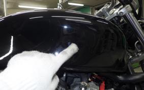 HONDA HORNET 250 2012 MC31