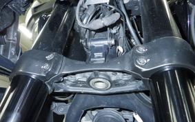 HARLEY PAN AMERICA 1250 S 2021
