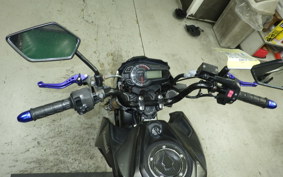 KAWASAKI Z125 PRO 2006 BR125H