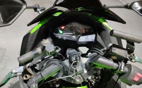 KAWASAKI NINJA 250 EX250L