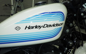 HARLEY XL1200NS 2019