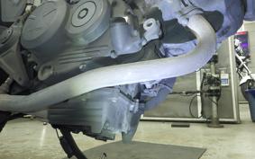 HONDA VTRF250 MC33