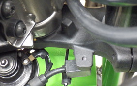 KAWASAKI ZX-4RR 2024 ZX400P