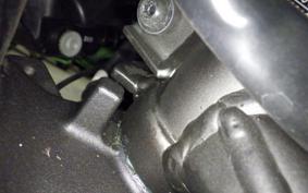 KAWASAKI ZX-4RR 2023 ZX400P