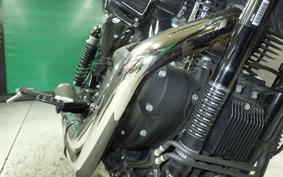 HARLEY XL1200NS 2020