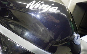 KAWASAKI ZX-25R 2024 ZX250E