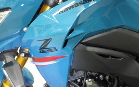 KAWASAKI Z125 PRO BR125H