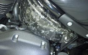 HARLEY FXLRS1920 2024