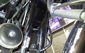 KAWASAKI W800 2020 EJ800B