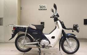 HONDA C110 SUPER CUB 2008 JA10