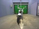 Фото Harley FLSTF 1450 2003 с японского аукциона