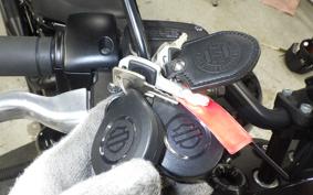 HARLEY FXLRS1920 2023