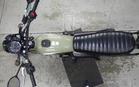 KAWASAKI W175 TR