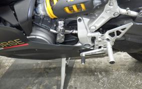DUCATI 1199 PANIGALE R 2014