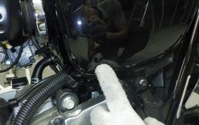 KAWASAKI W800 2022 EJ800E