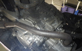 HONDA FAZE MF11