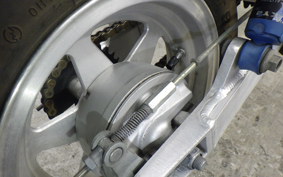 HONDA MONKEY 2024 Z50J